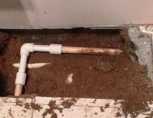 钦州测漏水哪家好