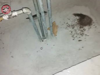 钦州卫生间测漏水价格明细